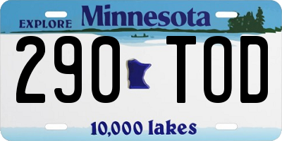 MN license plate 290TOD