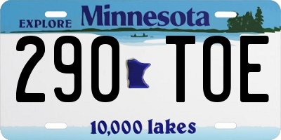MN license plate 290TOE