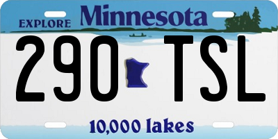 MN license plate 290TSL