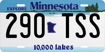 MN license plate 290TSS