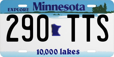 MN license plate 290TTS