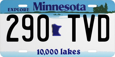 MN license plate 290TVD