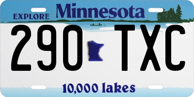 MN license plate 290TXC