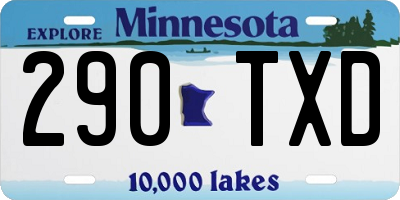 MN license plate 290TXD