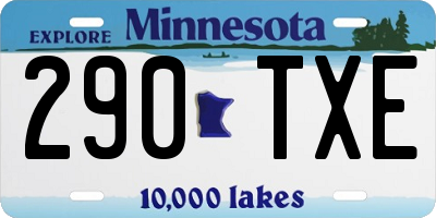 MN license plate 290TXE