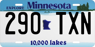 MN license plate 290TXN