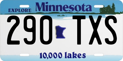 MN license plate 290TXS