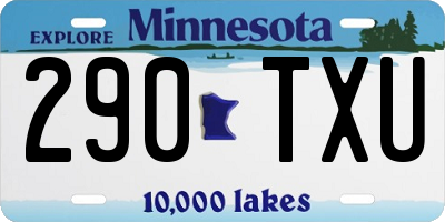MN license plate 290TXU