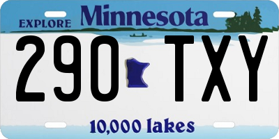 MN license plate 290TXY