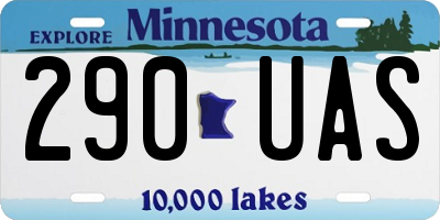 MN license plate 290UAS