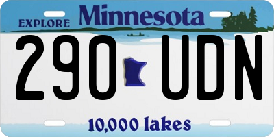 MN license plate 290UDN