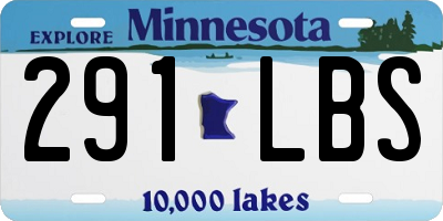 MN license plate 291LBS