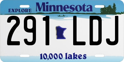 MN license plate 291LDJ
