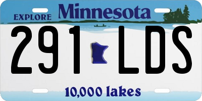 MN license plate 291LDS