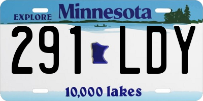 MN license plate 291LDY