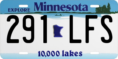 MN license plate 291LFS