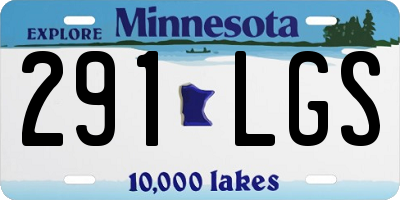 MN license plate 291LGS
