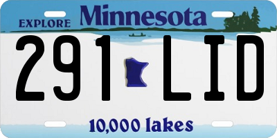 MN license plate 291LID