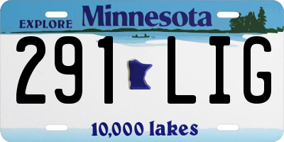 MN license plate 291LIG