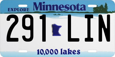 MN license plate 291LIN