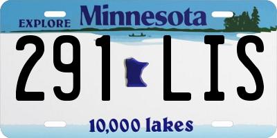 MN license plate 291LIS