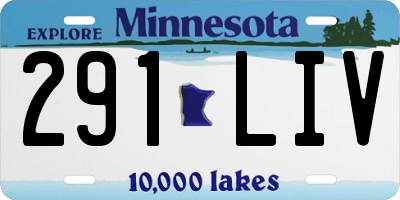 MN license plate 291LIV