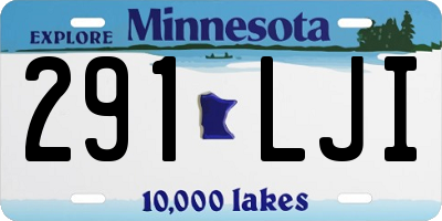 MN license plate 291LJI