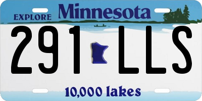 MN license plate 291LLS