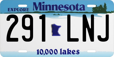 MN license plate 291LNJ