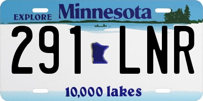 MN license plate 291LNR