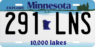 MN license plate 291LNS