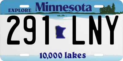 MN license plate 291LNY