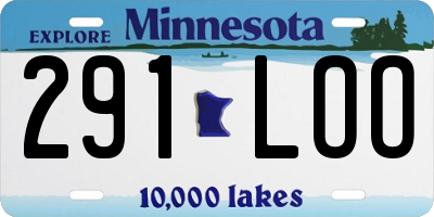 MN license plate 291LOO