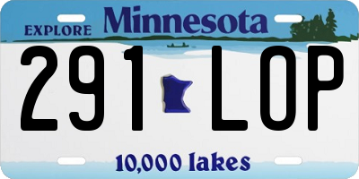 MN license plate 291LOP