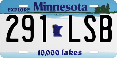MN license plate 291LSB