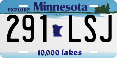 MN license plate 291LSJ