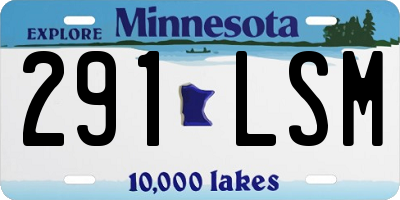 MN license plate 291LSM
