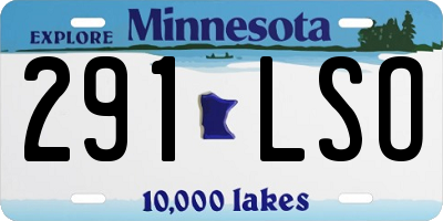 MN license plate 291LSO