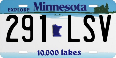 MN license plate 291LSV