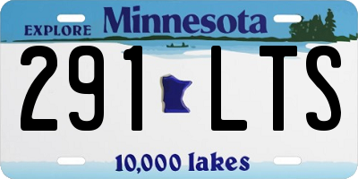 MN license plate 291LTS