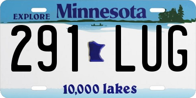 MN license plate 291LUG