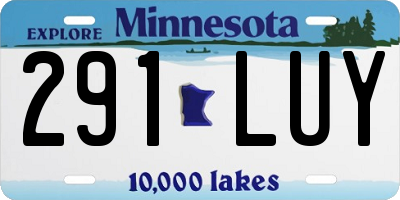 MN license plate 291LUY