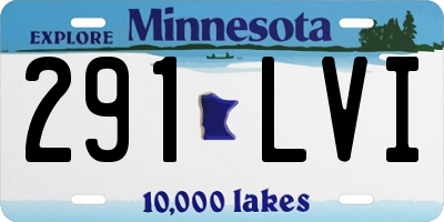 MN license plate 291LVI
