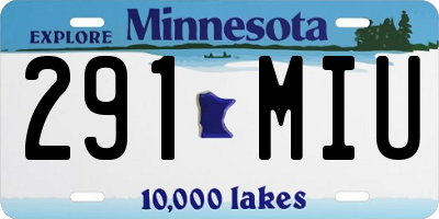 MN license plate 291MIU