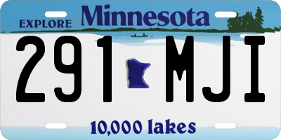 MN license plate 291MJI
