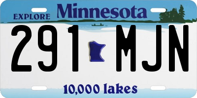 MN license plate 291MJN