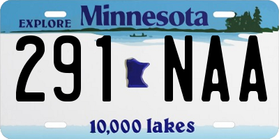 MN license plate 291NAA