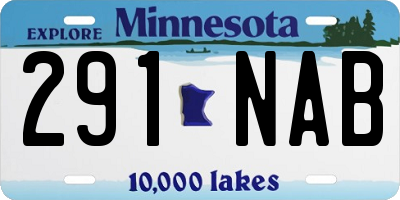 MN license plate 291NAB