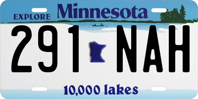 MN license plate 291NAH