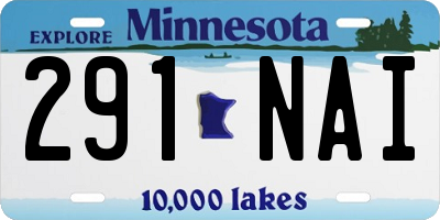 MN license plate 291NAI